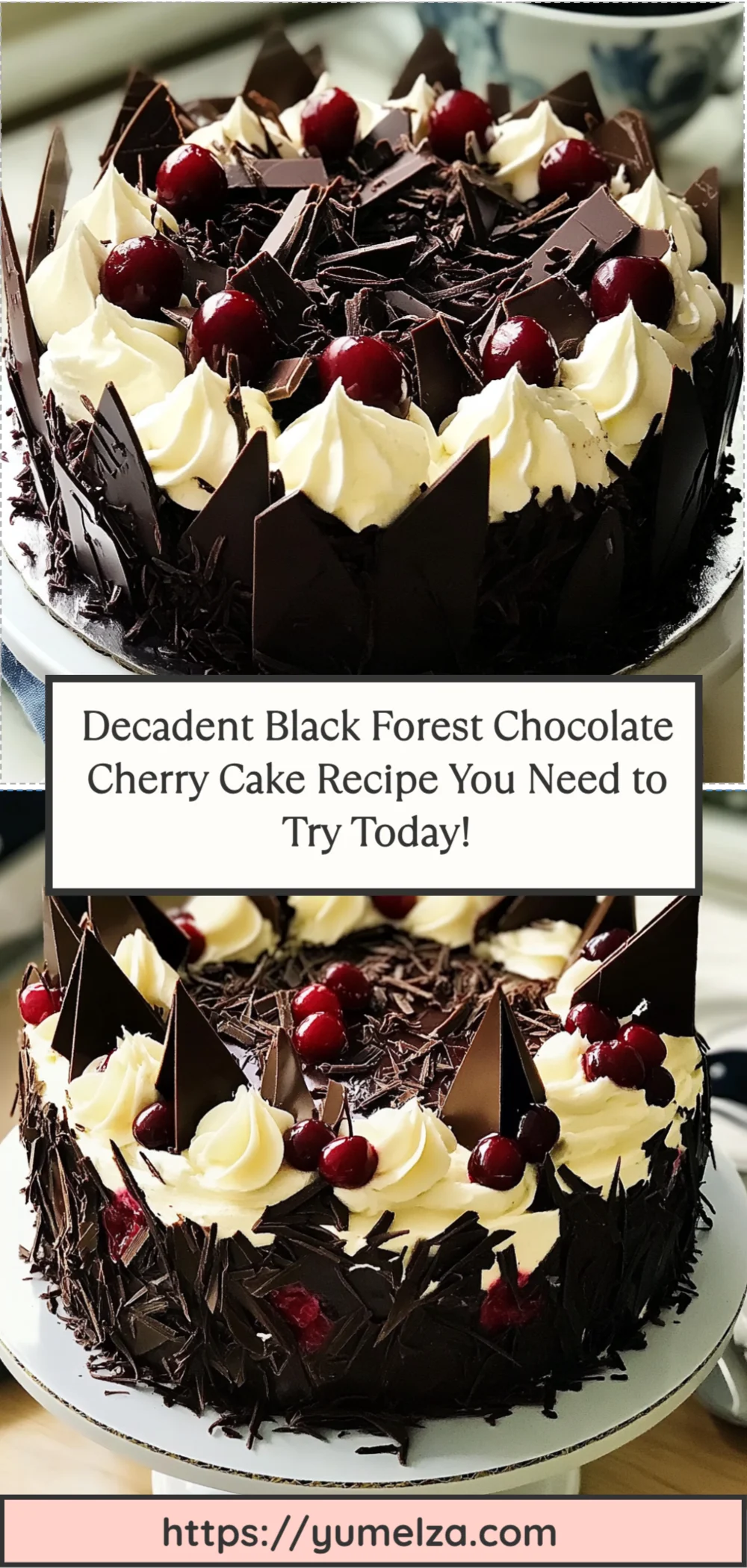 Decadent Black Forest Chocolate Cherry Cake Recipe You Need to Try Today!