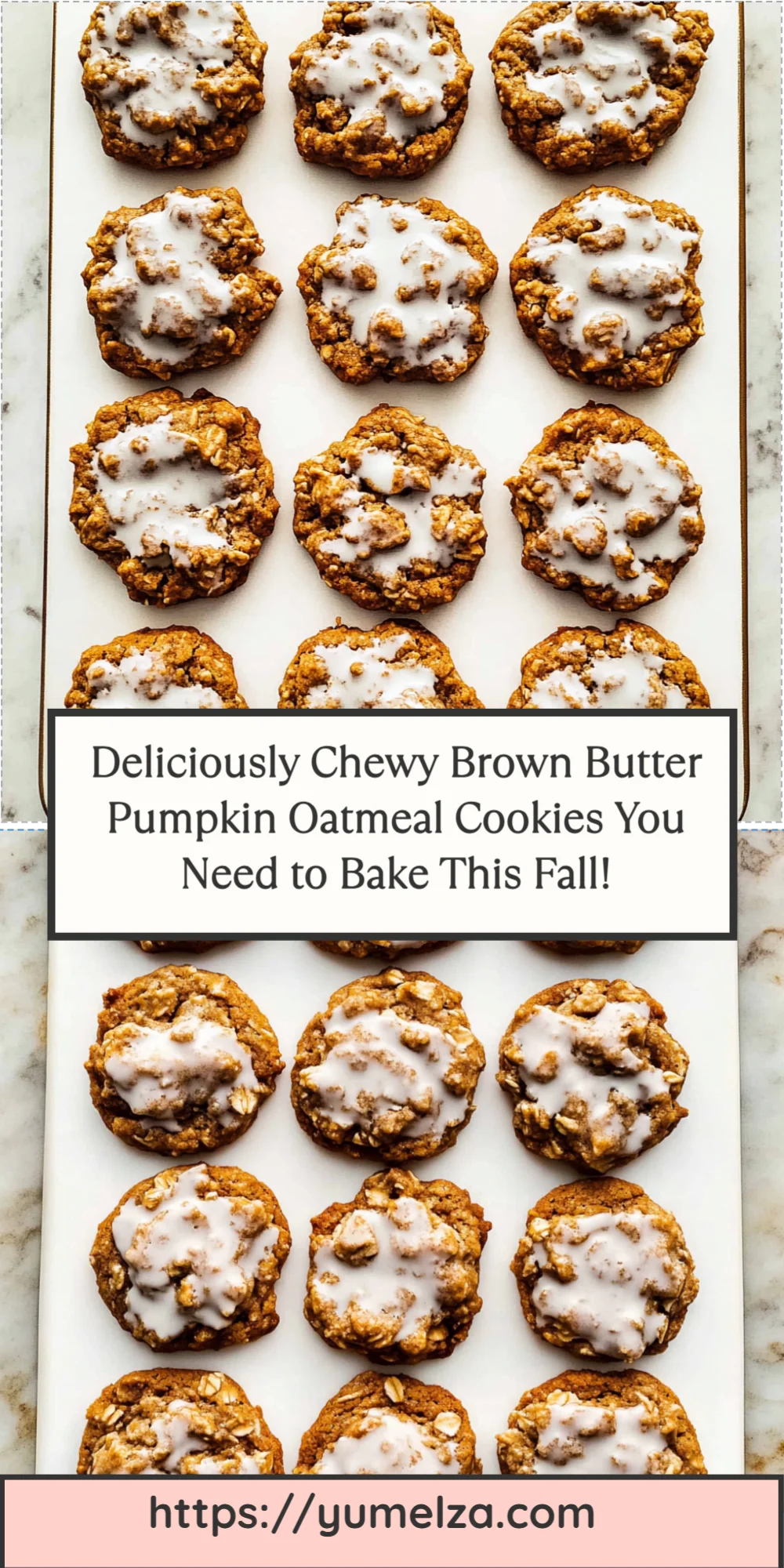 Deliciously Chewy Brown Butter Pumpkin Oatmeal Cookies You Need to Bake This Fall!