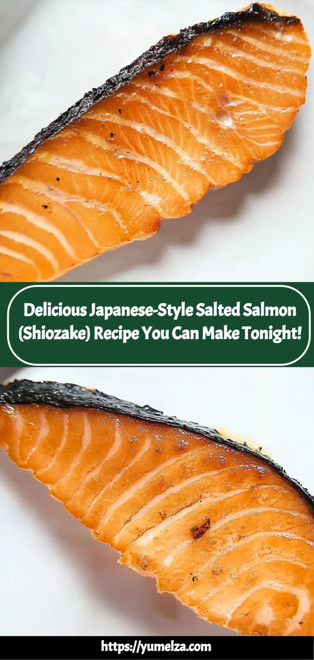 Delicious Japanese-Style Salted Salmon (Shiozake) Recipe You Can Make Tonight!