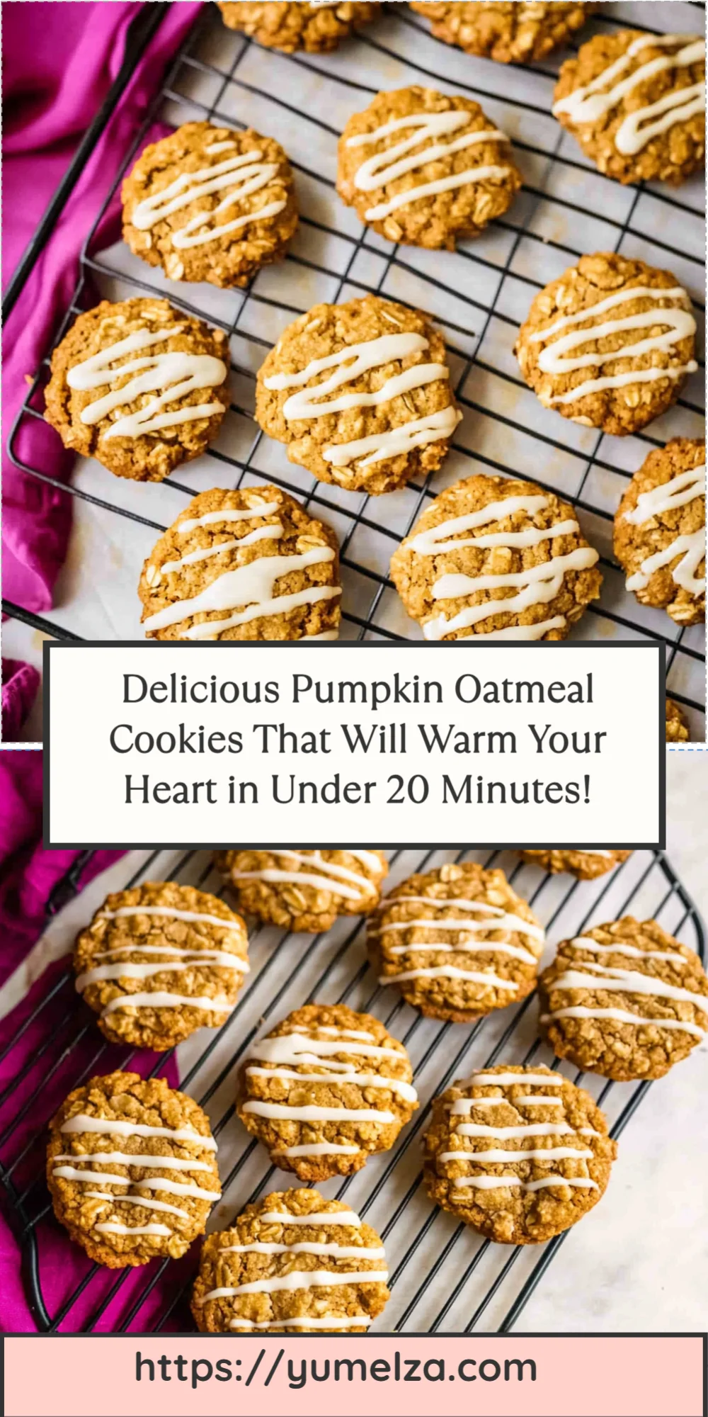 Delicious Pumpkin Oatmeal Cookies That Will Warm Your Heart in Under 20 Minutes!
