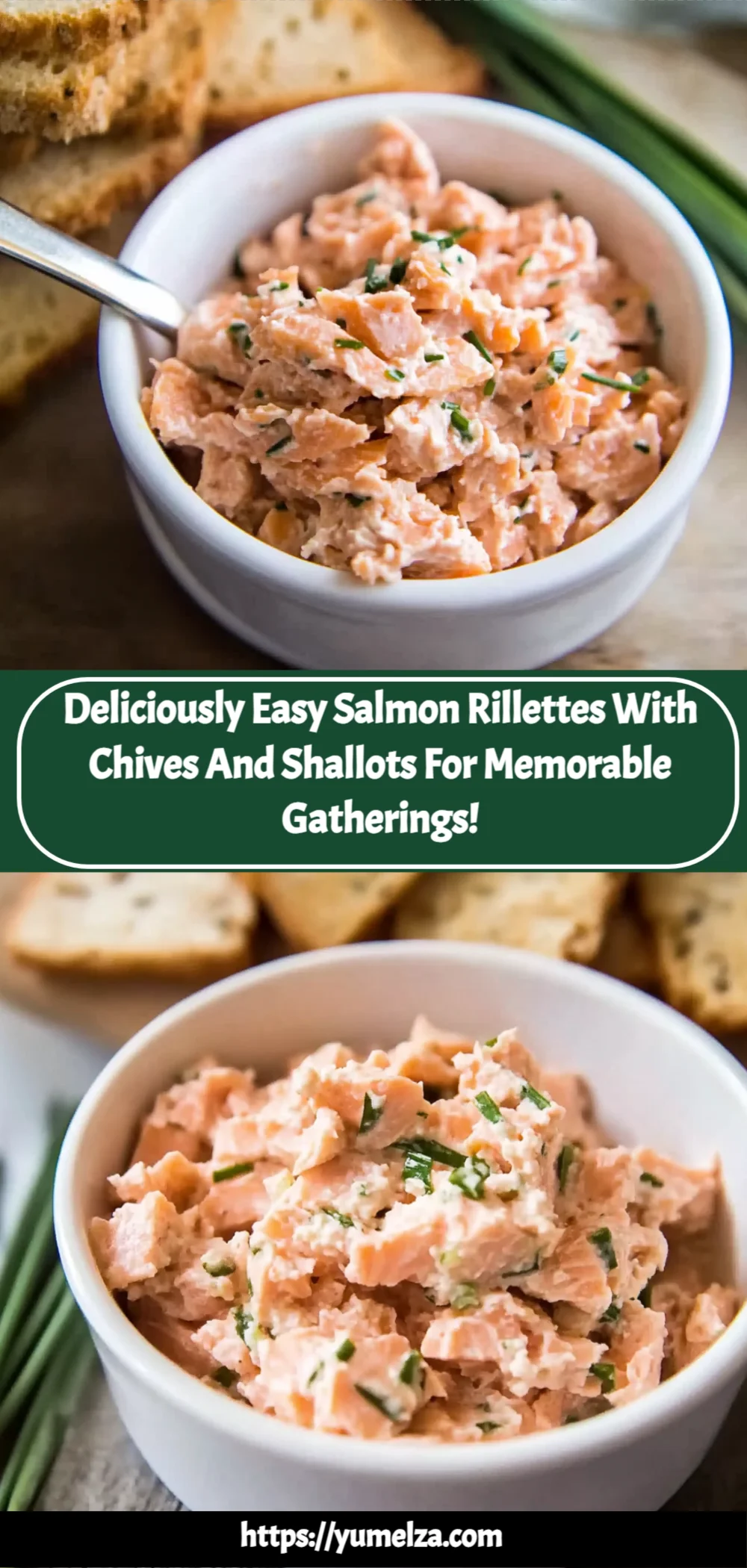 Deliciously Easy Salmon Rillettes with Chives and Shallots for Memorable Gatherings!