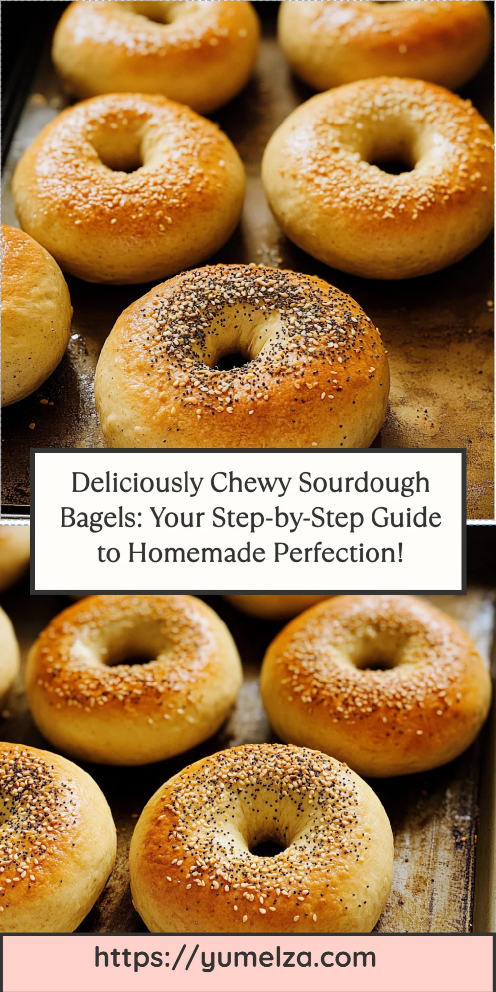 Deliciously Chewy Sourdough Bagels: Your Step-by-Step Guide to Homemade Perfection!