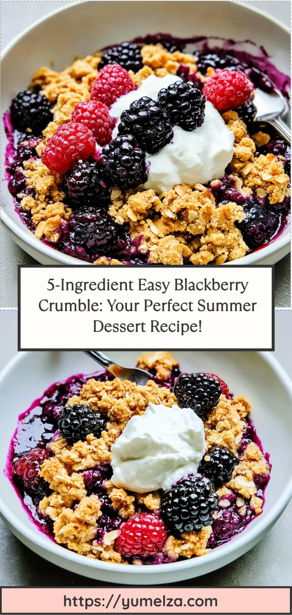 5-Ingredient Easy Blackberry Crumble: Your Perfect Summer Dessert Recipe!