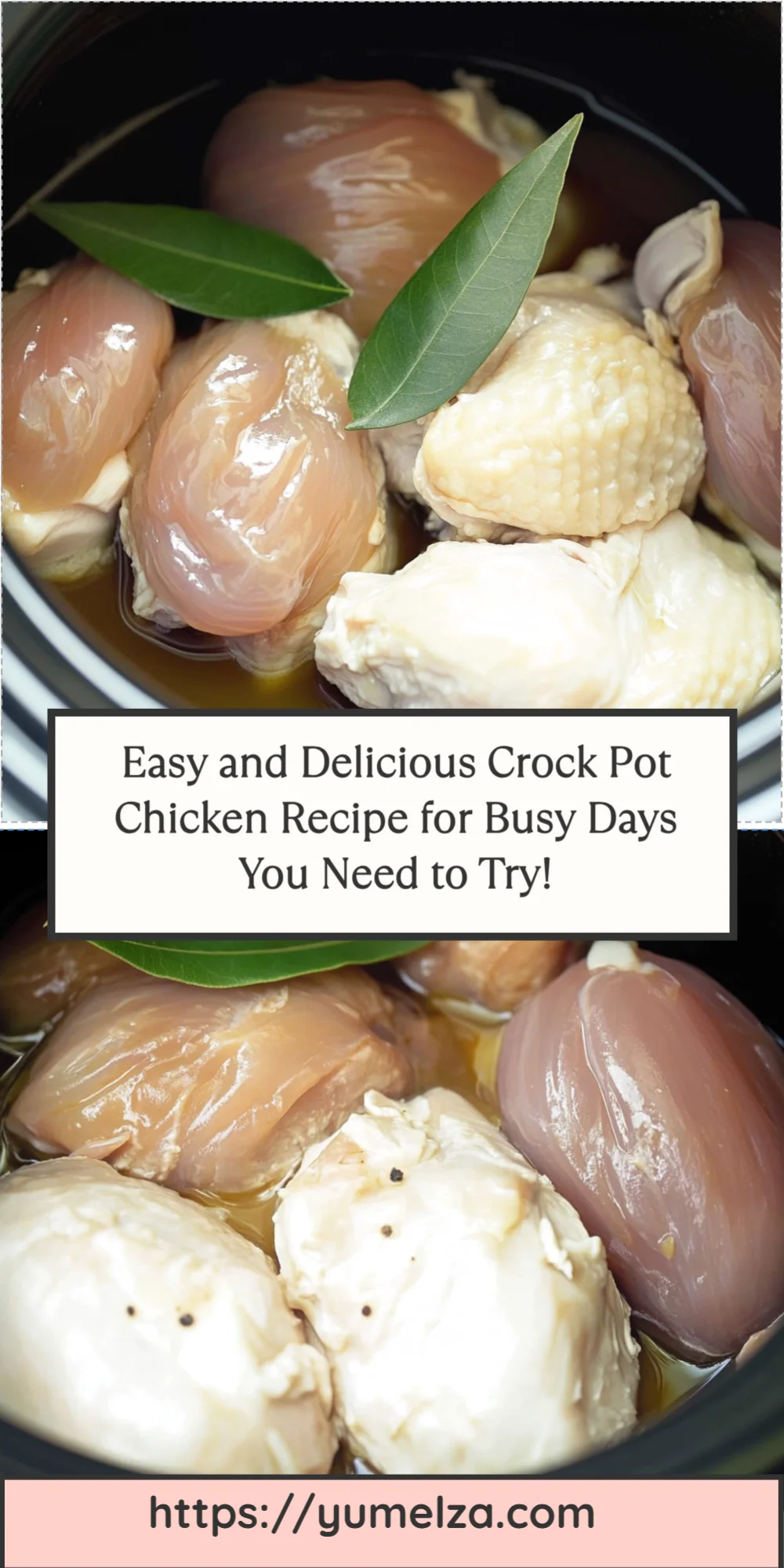 Easy and Delicious Crock Pot Chicken Recipe for Busy Days You Need to Try!