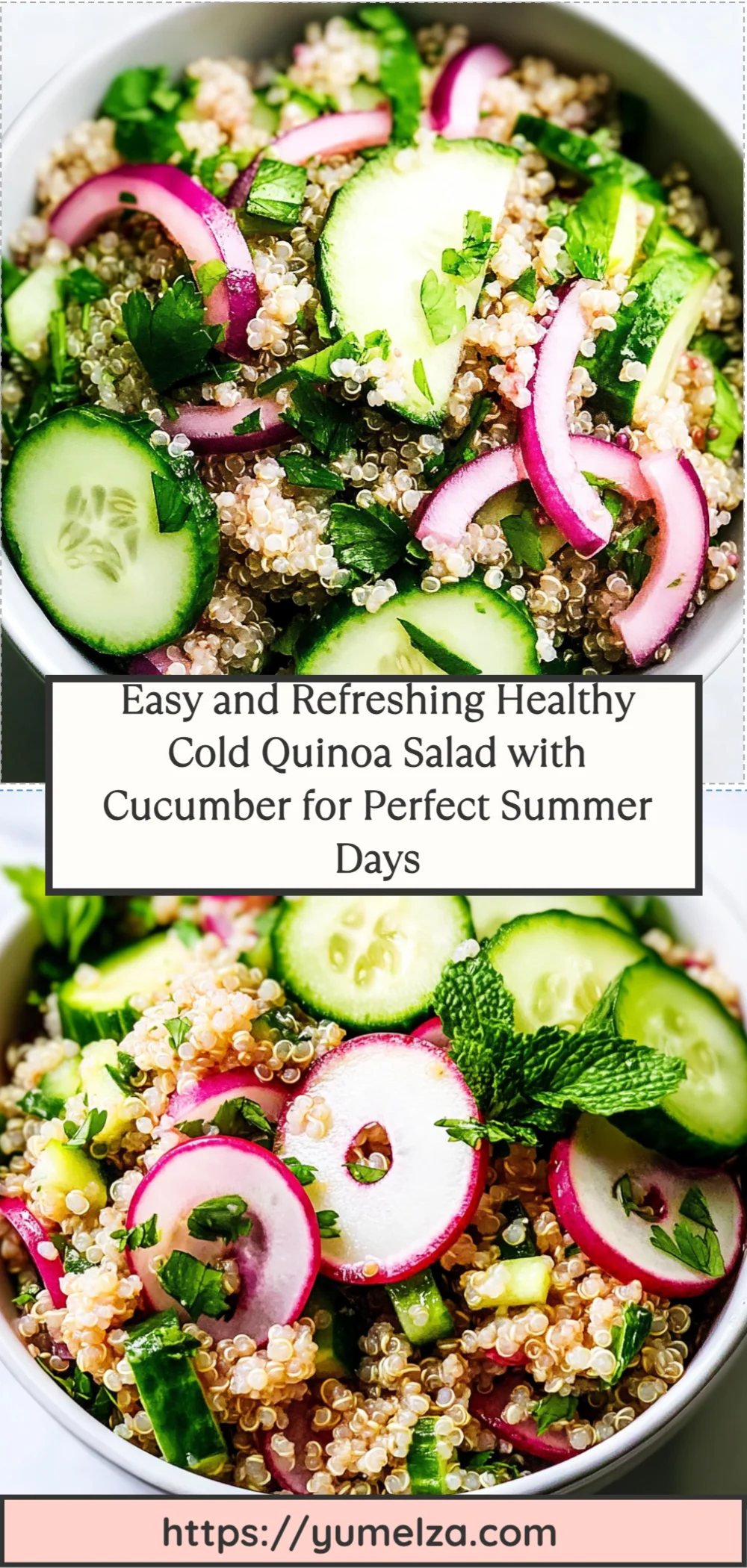 Easy and Refreshing Healthy Cold Quinoa Salad with Cucumber for Perfect Summer Days