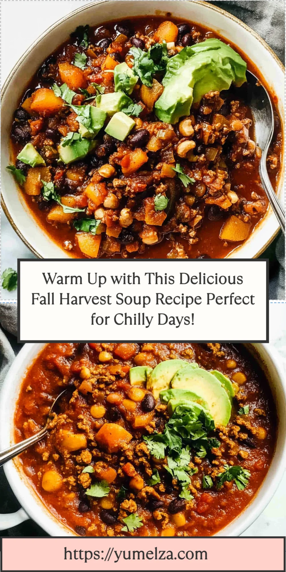 Warm Up with This Delicious Fall Harvest Soup Recipe Perfect for Chilly Days!