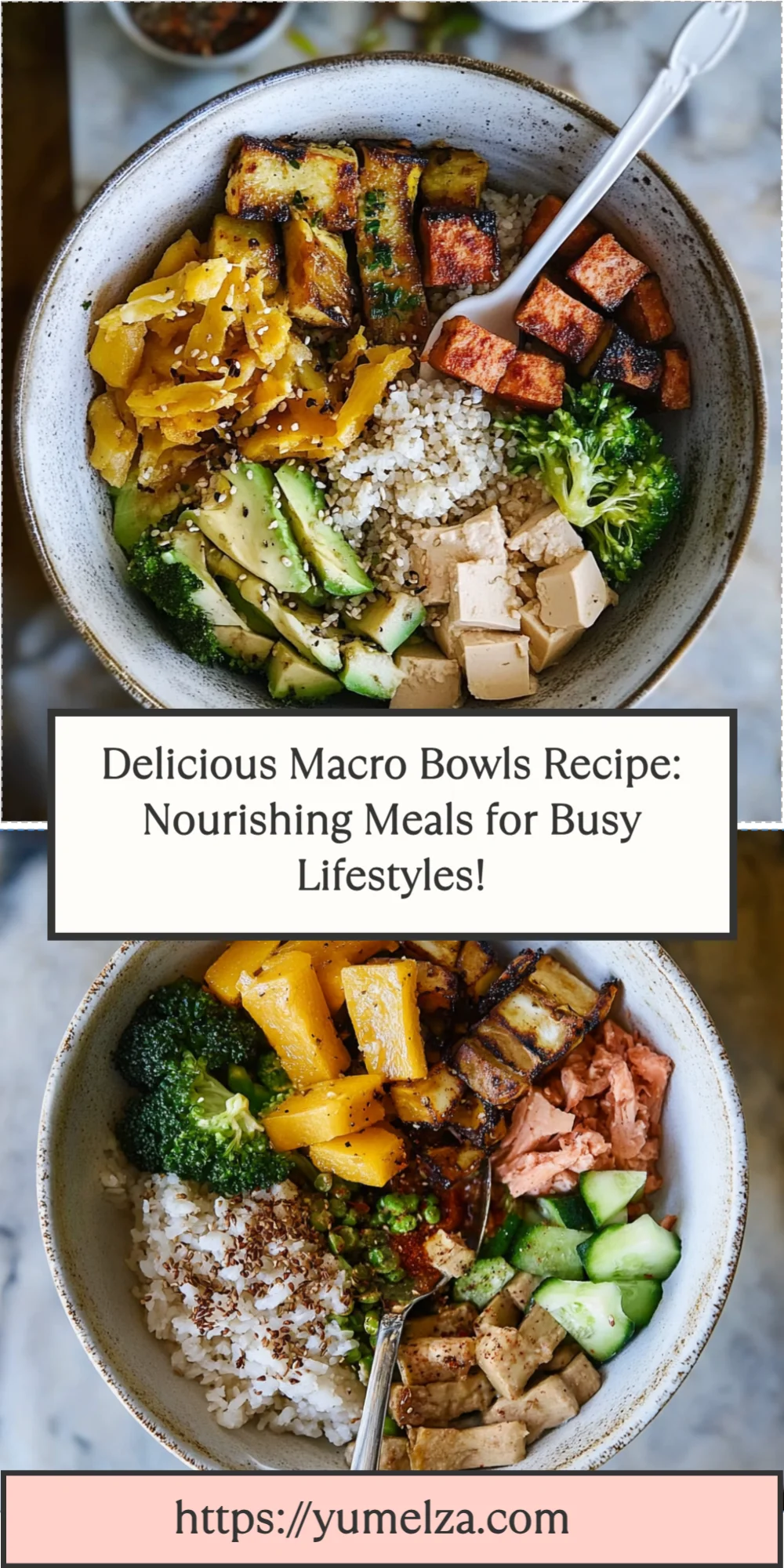 Delicious Macro Bowls Recipe: Nourishing Meals for Busy Lifestyles!