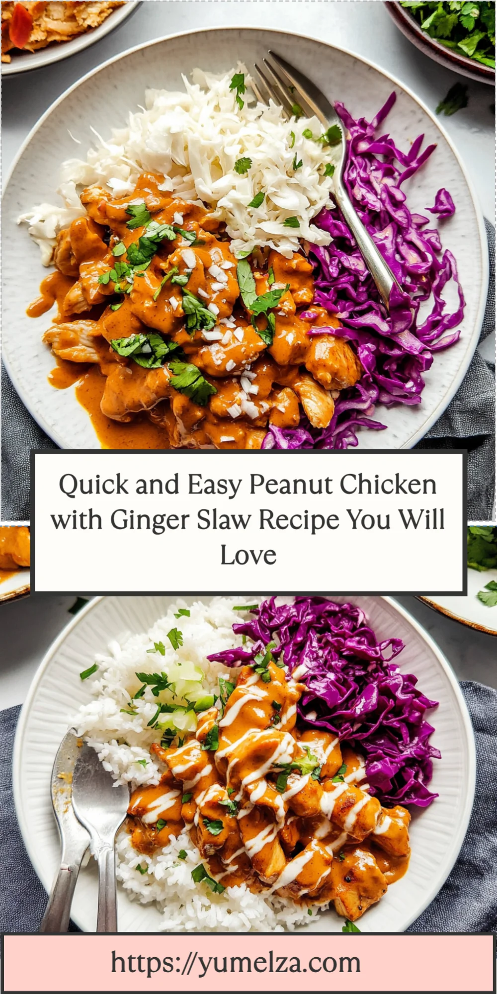 Quick and Easy Peanut Chicken with Ginger Slaw Recipe You Will Love