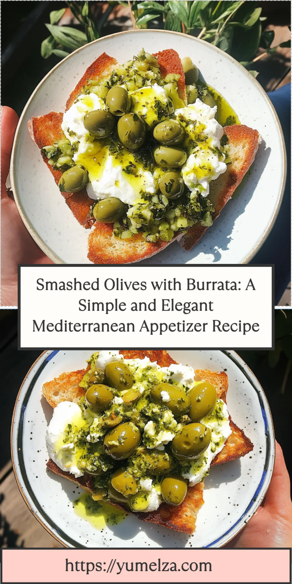 Smashed Olives with Burrata: A Simple and Elegant Mediterranean Appetizer Recipe