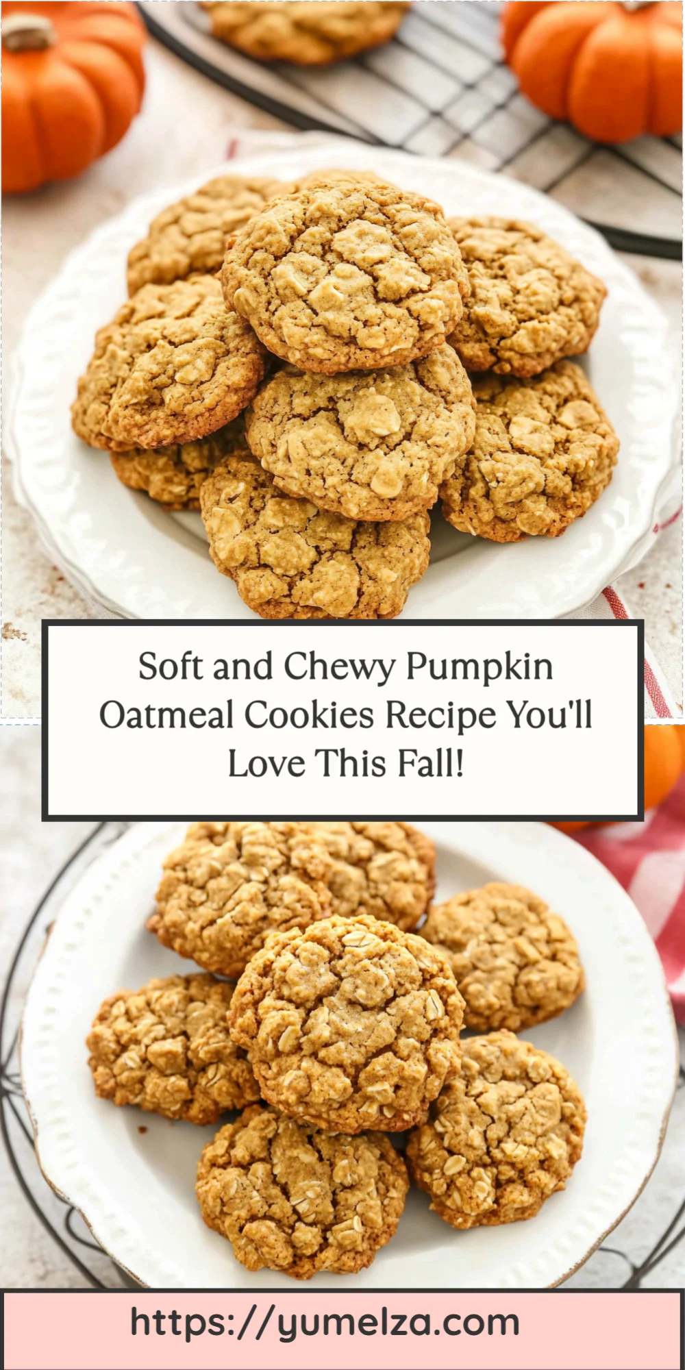 Soft and Chewy Pumpkin Oatmeal Cookies Recipe You'll Love This Fall!