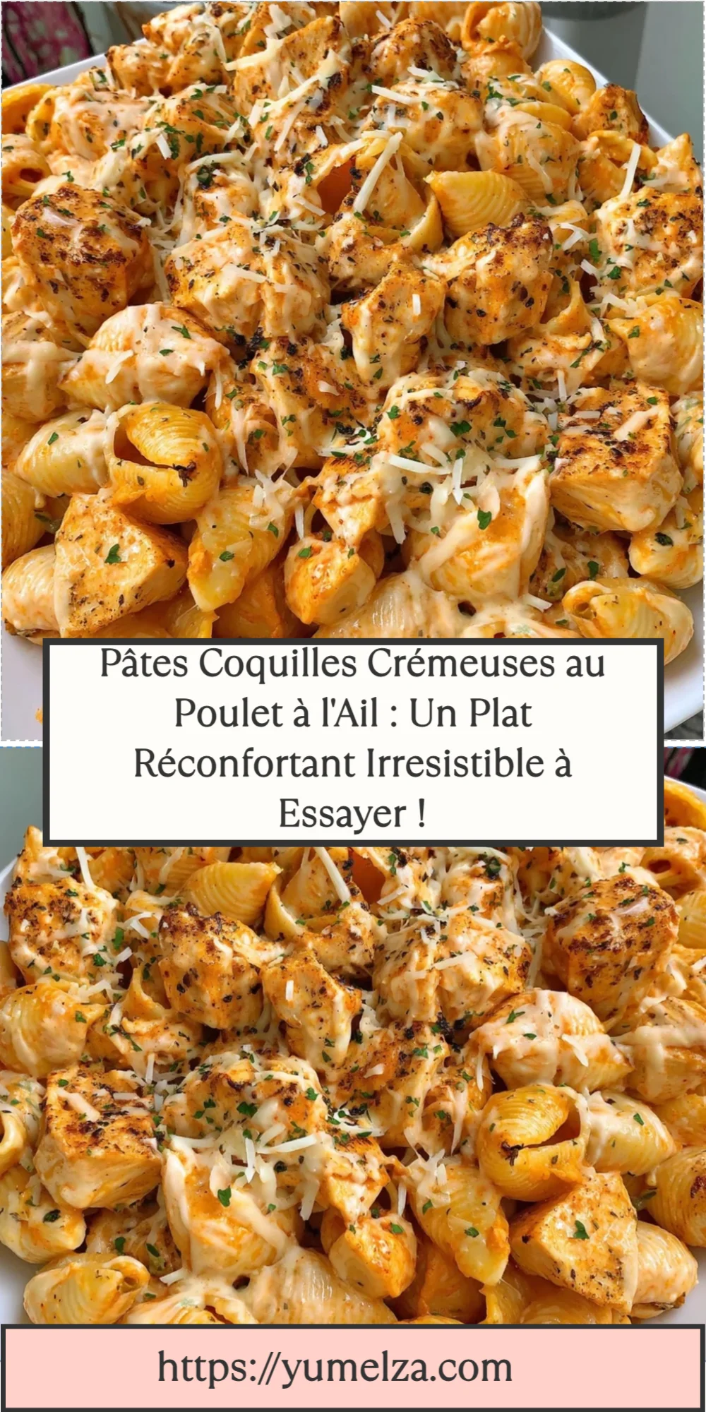 Pâtes Coquilles Crémeuses au Poulet à l'Ail : Un Plat Réconfortant Irresistible à Essayer !