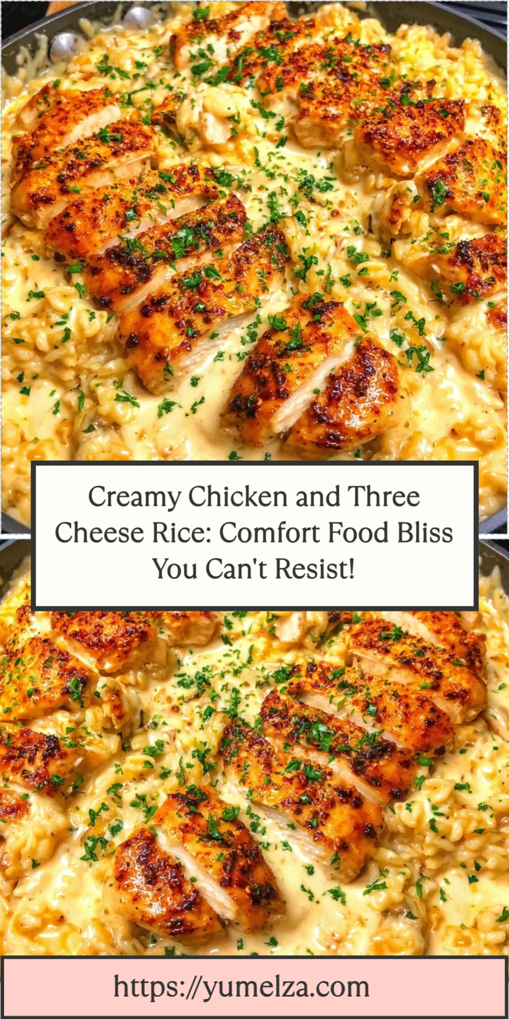 Creamy Chicken and Three Cheese Rice: Comfort Food Bliss You Can't Resist!
