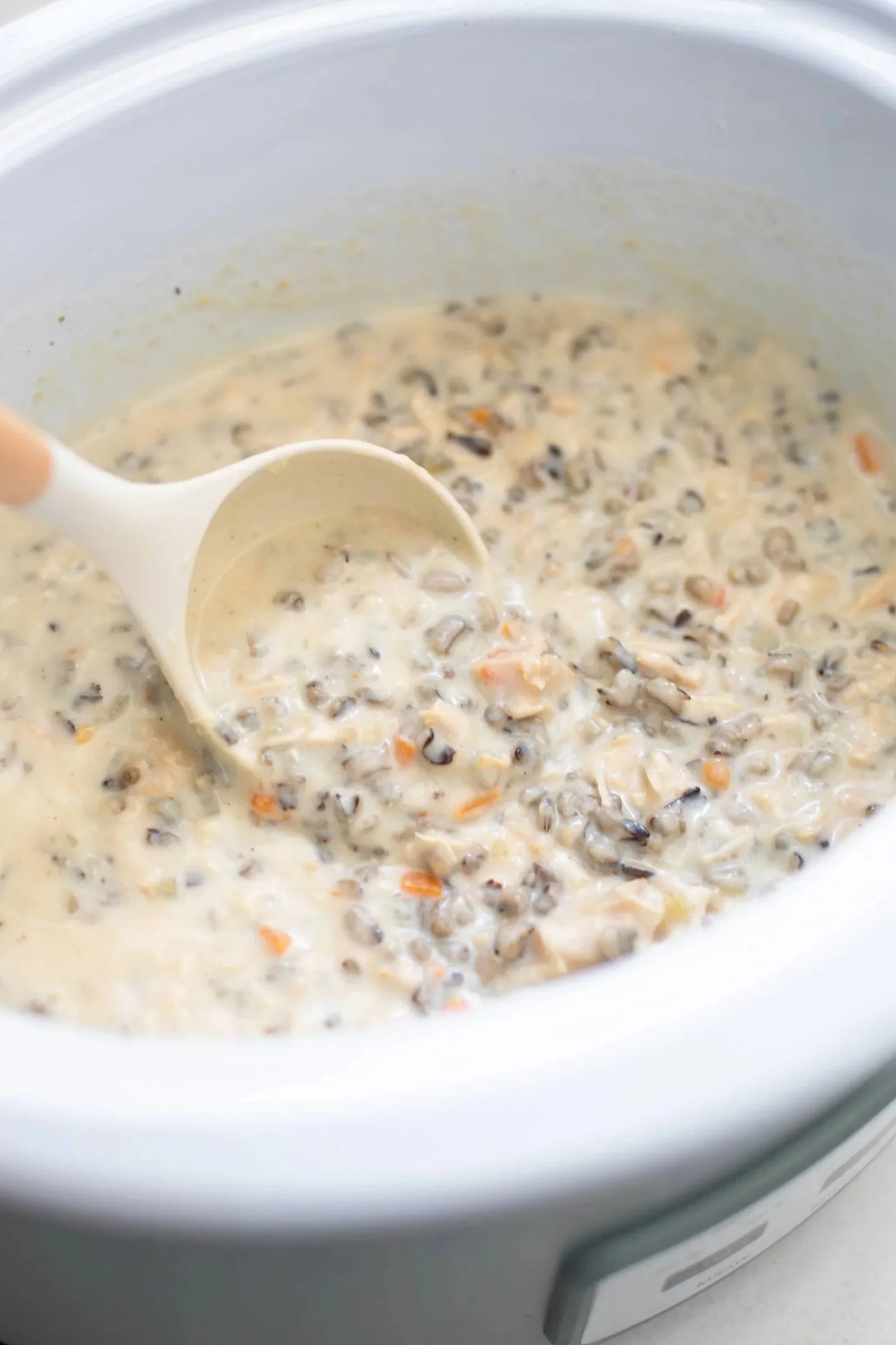 poulet et riz à la mijoteuse