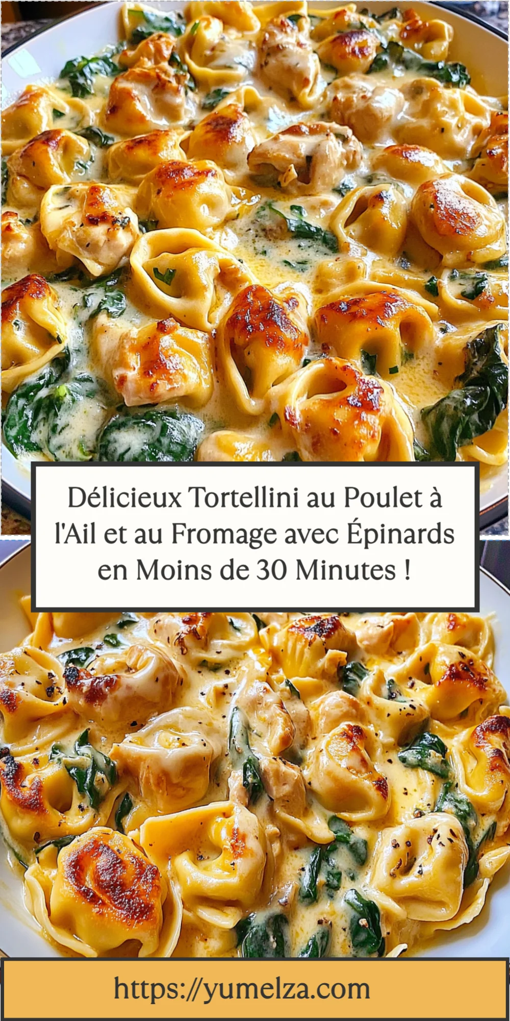 Délicieux Tortellini au Poulet à l'Ail et au Fromage avec Épinards en Moins de 30 Minutes !